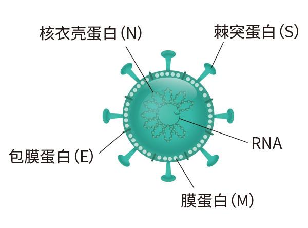 泉州市2022年第十次新冠疫情防控新闻发布会召开